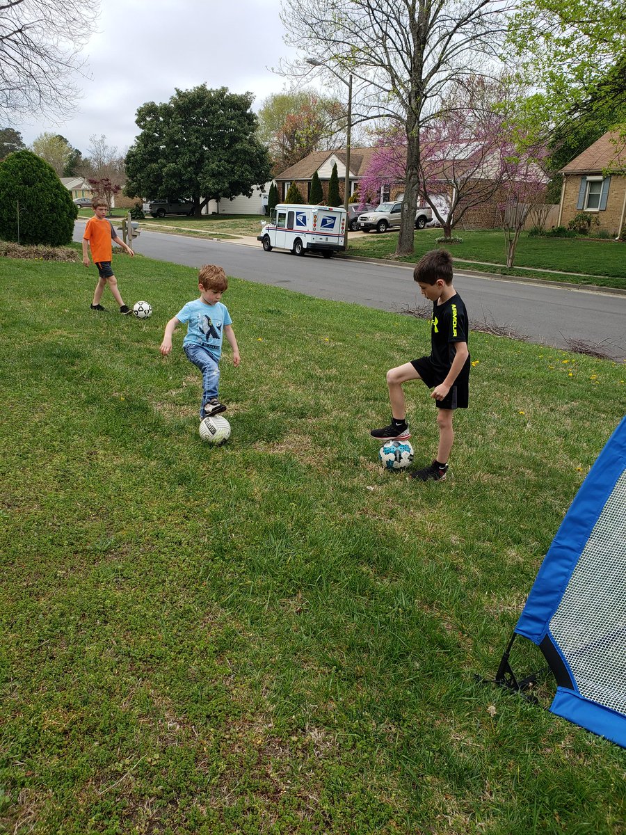 Carly Scheuer tweet media