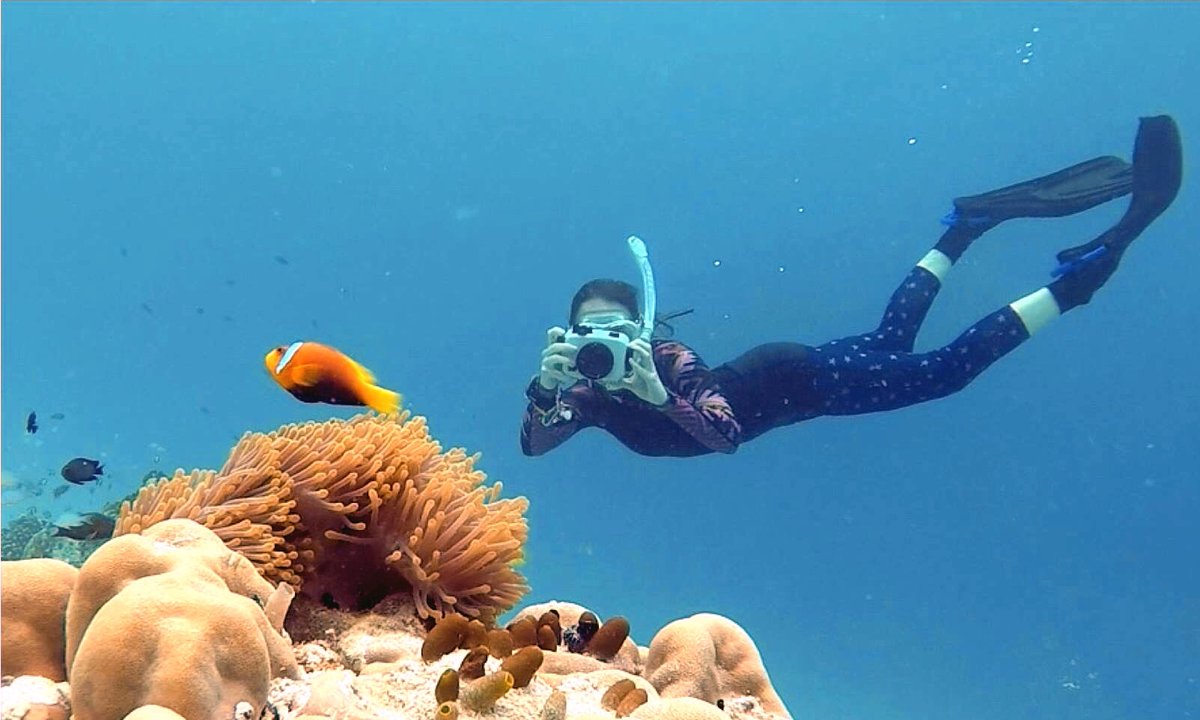 <a href="/CassieHoepner/">Dr Cassie Hoepner</a> from <a href="/savenemo/">Saving Nemo</a> is using proteomic &amp; metabolomic analyses for her PhD to find out the molecular composition of #anemonefish mucus &amp; how it allows for the formation of the iconic symbiosis between #anemonefish and their venomous #anemone host