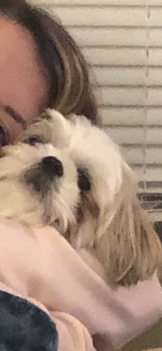 I think Piper is tired of being quarantined with me :/