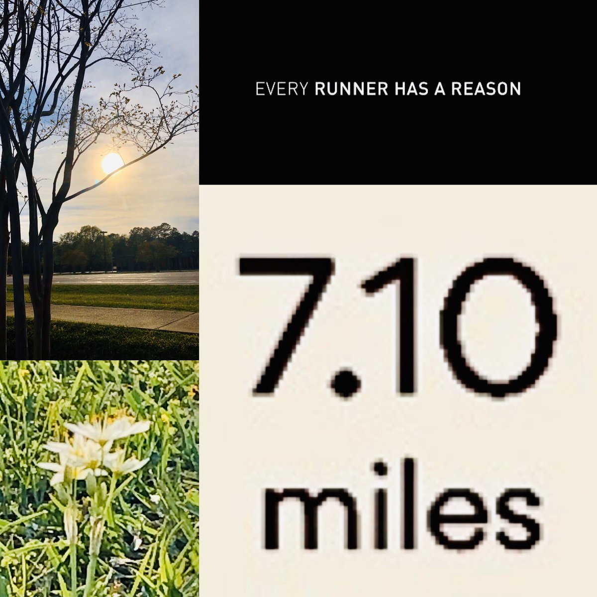 KatieRParham's tweet photo. Ran 7.10 #GirlOnFire miles.
“She's living in a world, and it's on fire. Feeling the catastrophe, but she knows she can fly away...” ~Alicia Keys #GratefulForTheGift #BlessedWithHealth #RunningIsMySuperpower #RunningIsMyGreatEscape #TheLordIsMyShepherd #RunChat #LoveRunSmile https://t.co/BWupIFeib7