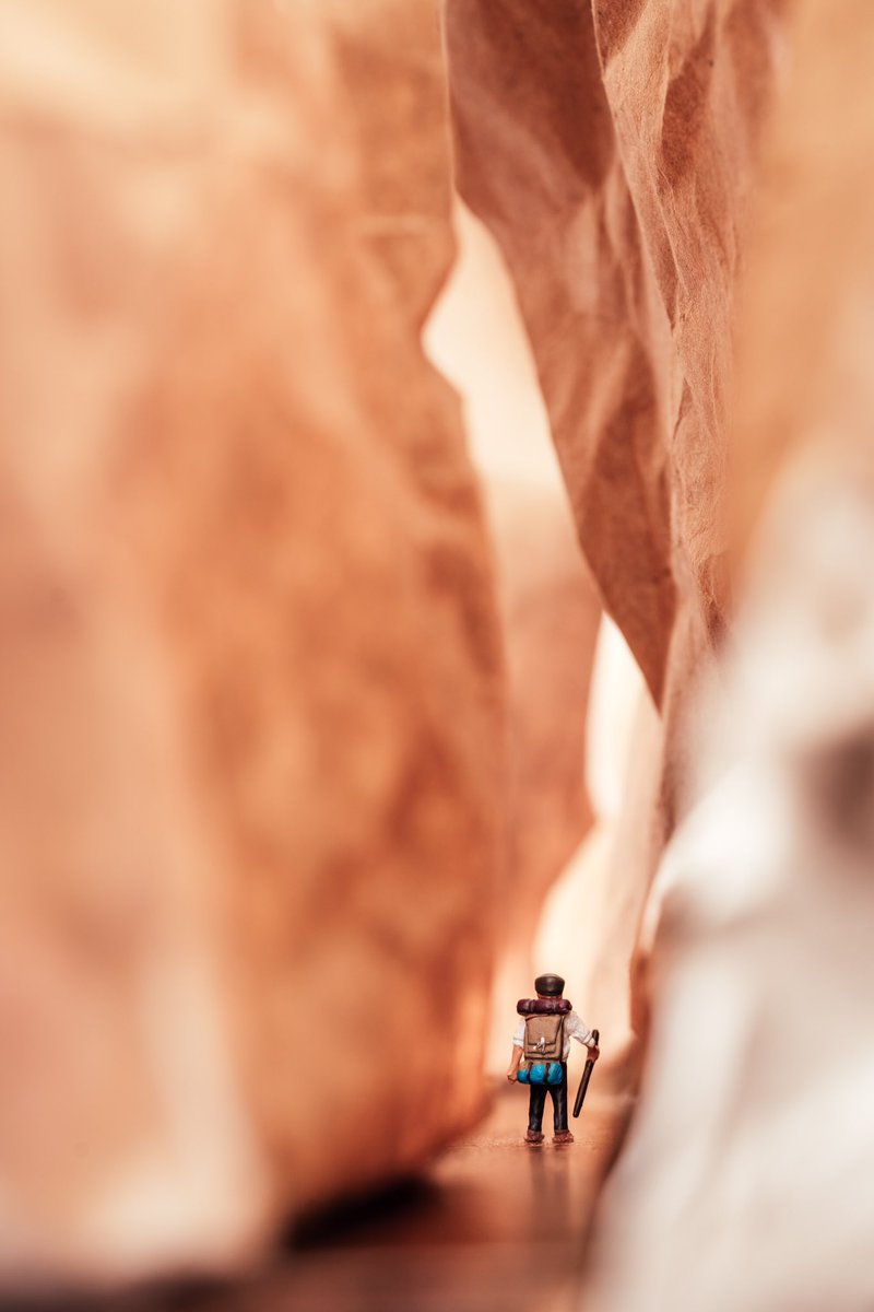 Erin Sullivan tweet media