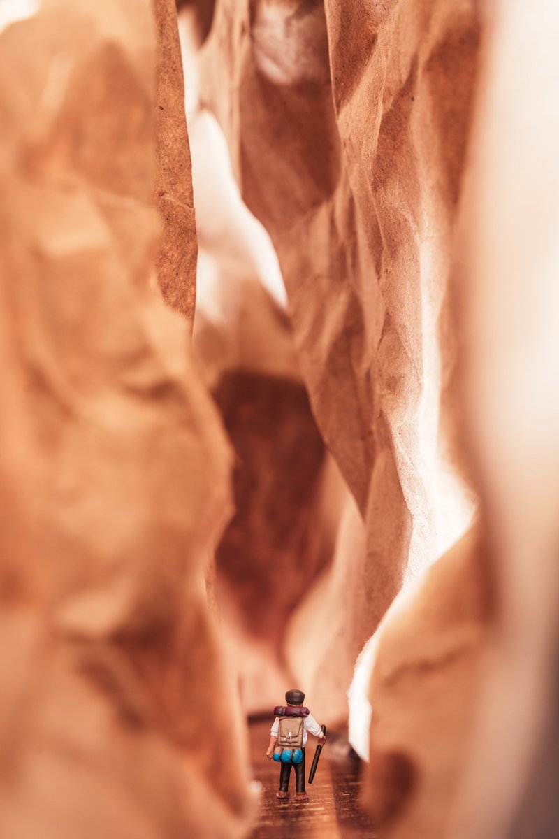 Erin Sullivan tweet media