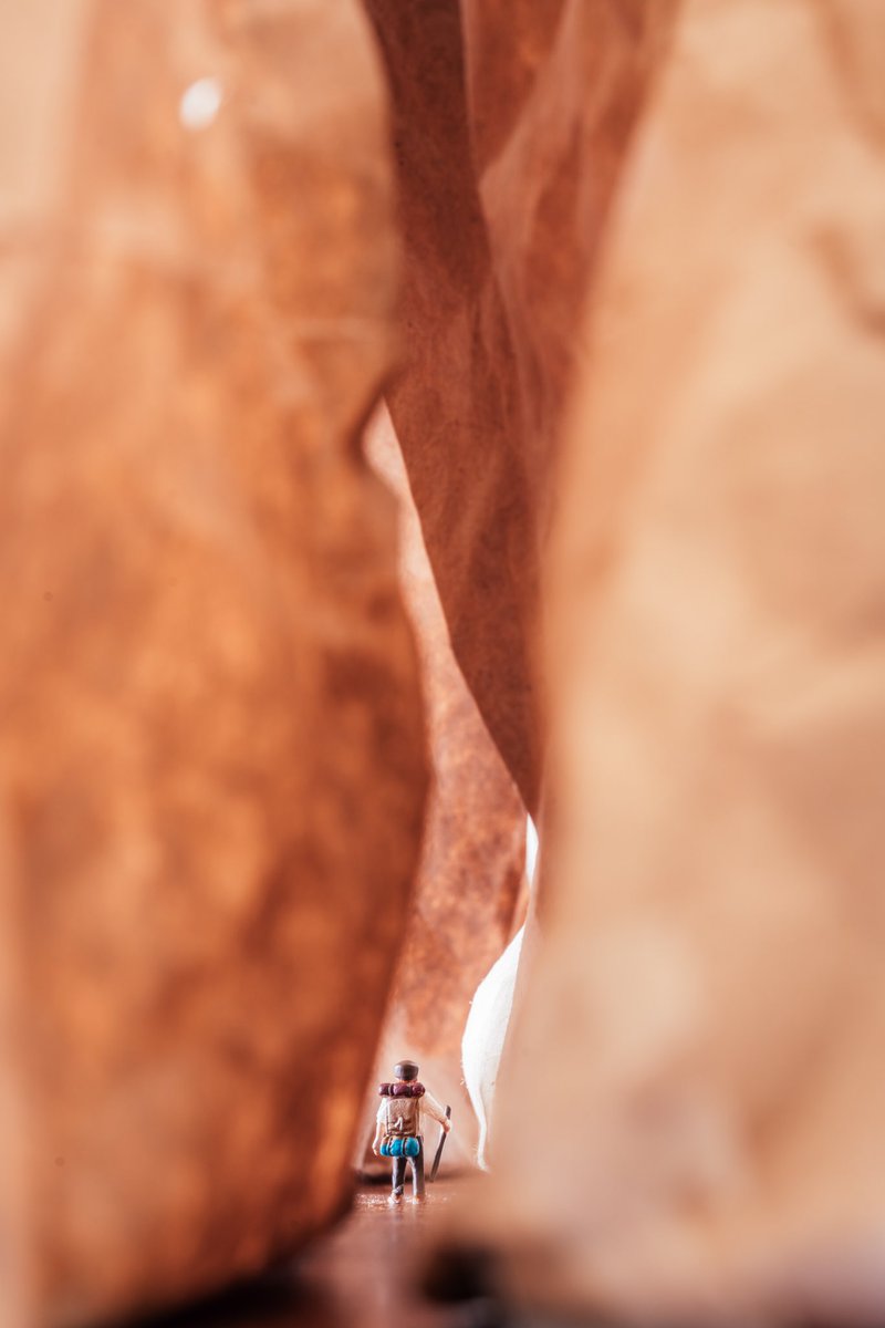 Erin Sullivan tweet media