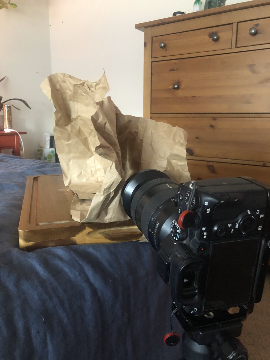 Erin Sullivan tweet media