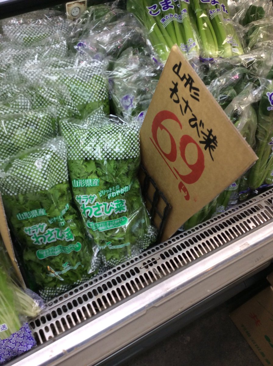 マインド堀江店 A Twitter 本日おすすめ品です 愛知県産さとうえんどう158円 山形県産たらの芽238円 茨城県産赤からし菜33円 マインド マインド堀江 浦安 さとうえんどう たらの芽 山形県産わさび菜69円 わさび菜