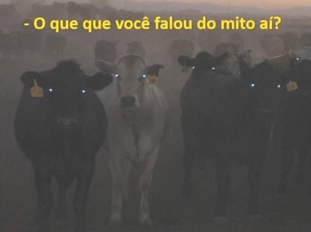 felgss's tweet photo. @Cesarme32026704 @arthurmoledoval @BolsonaroSP https://t.co/d2h5Hq8A93