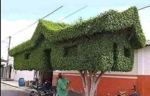 ColMexIngCiv's tweet photo. Se vende casa de dos plantas
Solo gente seria 😂😂 https://t.co/NJkLfF9XKF