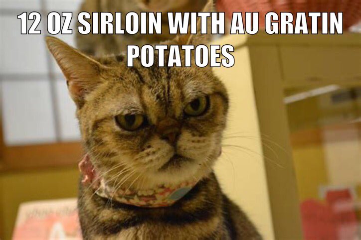 CText's tweet photo. @RealGrumpyCat https://t.co/kktO1JM9ZE