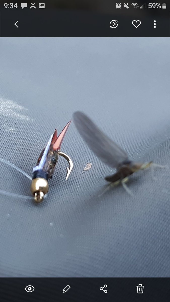 FlyUnfiltered's tweet image. Czech nymphing day. One beautiful brookie and one 18ish brown.