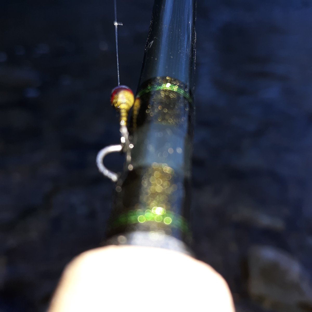 Czech nymphing day. One beautiful brookie and one 18ish brown.