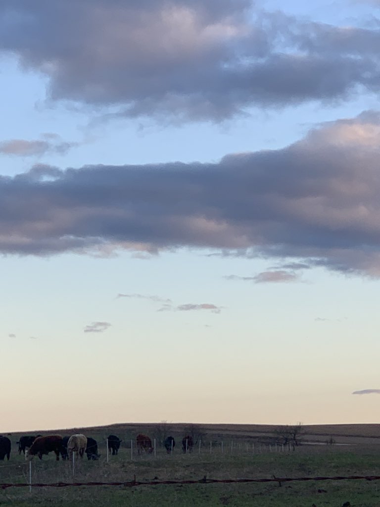 boonebizteach's tweet photo. Not gonna lie I’m enjoying being home more. However I miss my students! #findjoyinthechaos #StayAtHomeAndStaySafe #ranchlife #Seeyouzoom https://t.co/b1w7ZouPfK