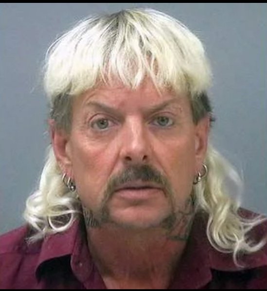 When you come to the realization that Joe Exotic would still make a better President than Barack Obama.