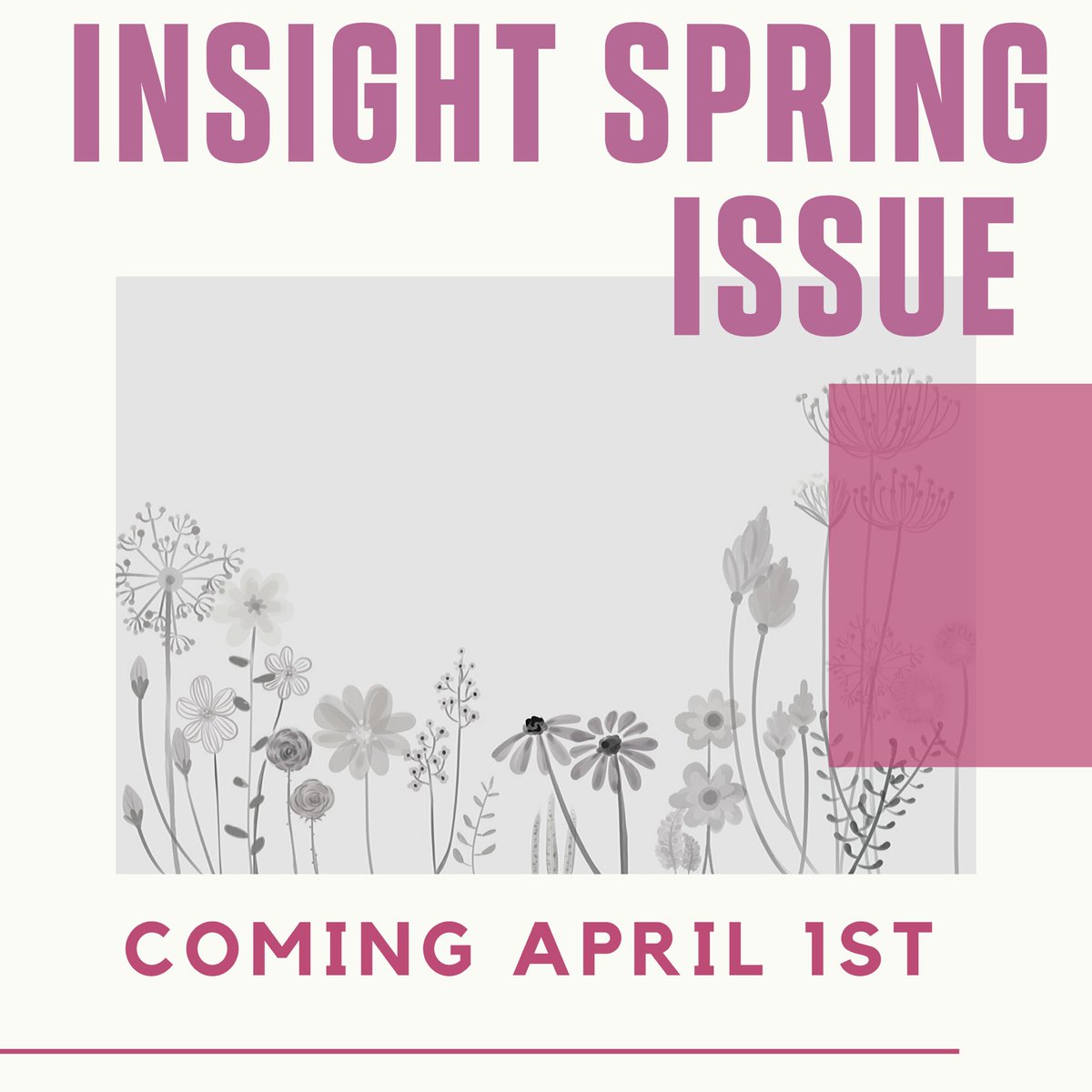 insightmagunr's tweet photo. We are excited to release our newest issue in two days! Stay tuned! #unr #insightmagazineunr #springissue https://t.co/bPvPuqUolu