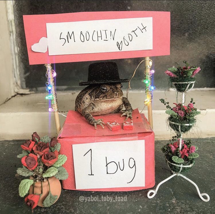 Do to social distancing rules
we have been forced to shut
down the booth.
No bug passing allowed.
We'll reopen when it's safe ;)

#SocialDistancing #StayAtHome
#WashYourHands