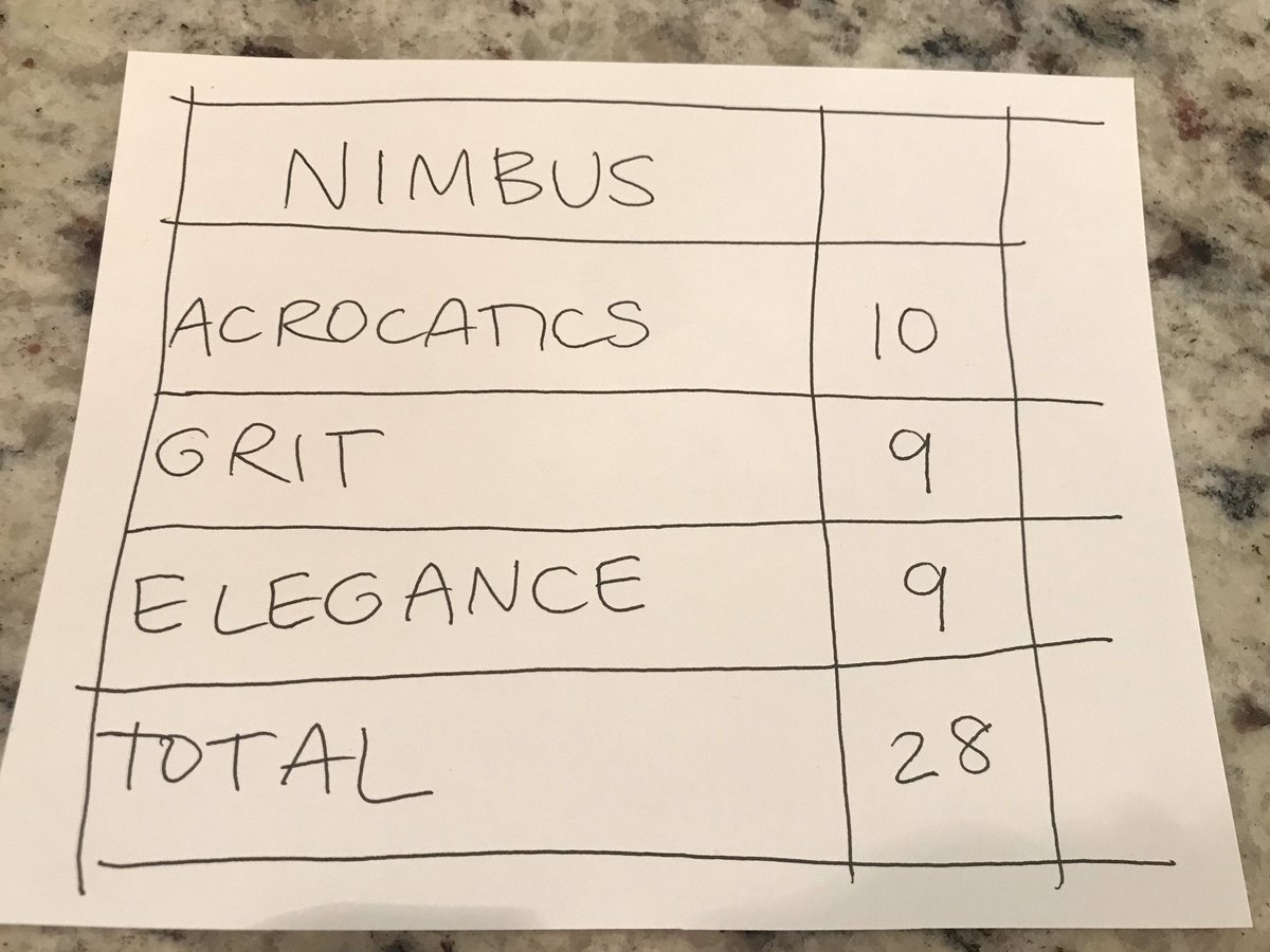 After a tense waiting period, the scores came back. Nimbus won by a hair, but now Comet has the fuel he needs for a revenge win in tomorrow’s  #catlympics2020 event