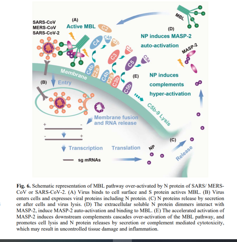 Biotech Jim tweet media