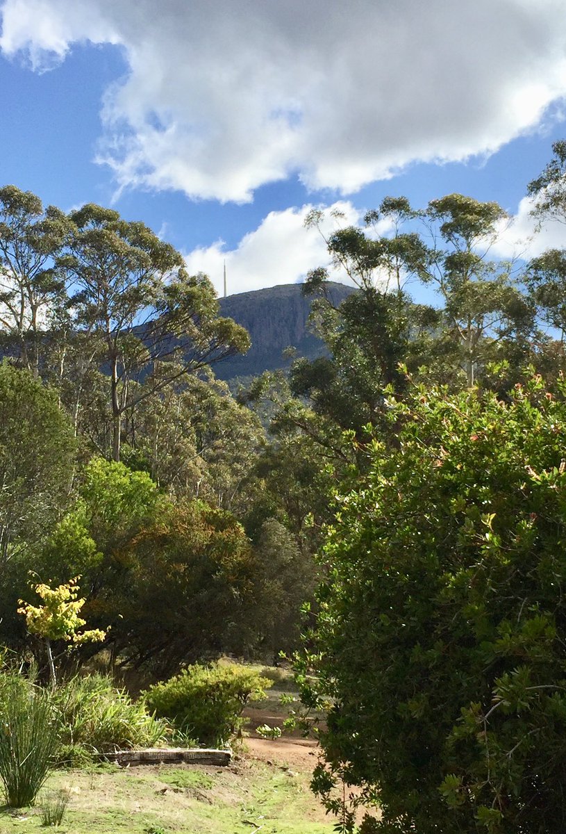 Wilde_writer's tweet photo. An update from Tasmania: like most people in these troubling times, I’ve experienced some Corona complications. The short version is my Kingston Beach accommodation fell through, but luckily I’ve found a wonderful fill-in arrangement; bye bye beach, hello mountain! https://t.co/R3WeAARTNQ