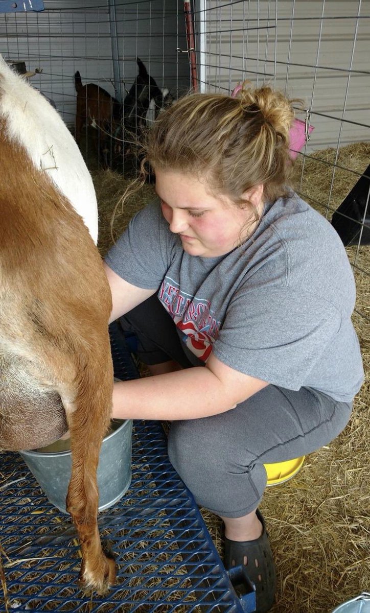 StilwellFFA's tweet photo. Stilwell FFA SAE spotlight! These students are staying busy while staying safe at home, agriculture never takes a break. #FFAstrong #OKFFA #alonetogether https://t.co/G9GslAvZ68