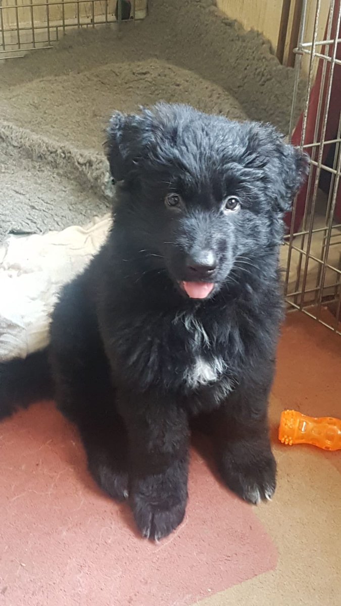 Pilgrim Now 😇 (@plgrimnow) on Twitter photo 