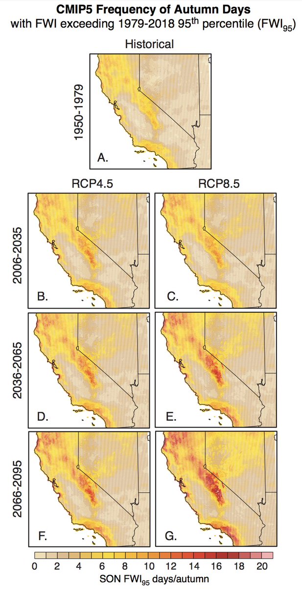 Looking forward, frequency of extreme autumn fire weather days will further increase as climate continues to warm. But *degree* to which this risk increases depends greatly on greenhouse gas emission path we take. (4/6)  #CAwx  #CAfire  #CAwater  https://iopscience.iop.org/article/10.1088/1748-9326/ab83a7