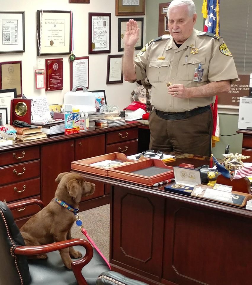 ESPNCoastal's tweet photo. Our #ESPNShopDog Fotina’s baby girl Lexi is the newest deputy with the @ChathamSheriff’s Department! 👮🏻‍♀️ https://t.co/1Wyiso73dv