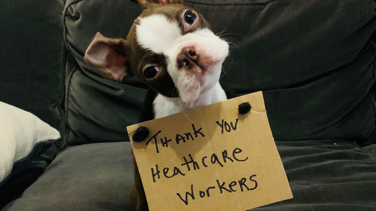 🏥💉On #NationalDoctorsDay, Coco 🐶and everyone <a href="/northern_cards/">Northern Cards</a> would like to thank all of our #doctors and #healthcareworkers in #Canada and around the globe, working hard to save lives and keep us all safe 🙏💌