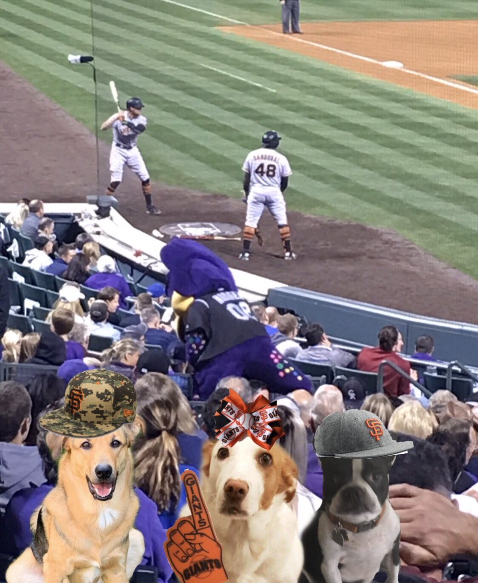WonderWilbur's tweet photo. #PhotoChallenge2020March
Day 30: A walk in the park at the Colorado Rockies last summer. Me, Puppsy &amp; Penny enjoying a ball game. -Wilbur #SFGiants @Jacksonthehusky @CanadianPenny1 https://t.co/2Gs9YlXGvG