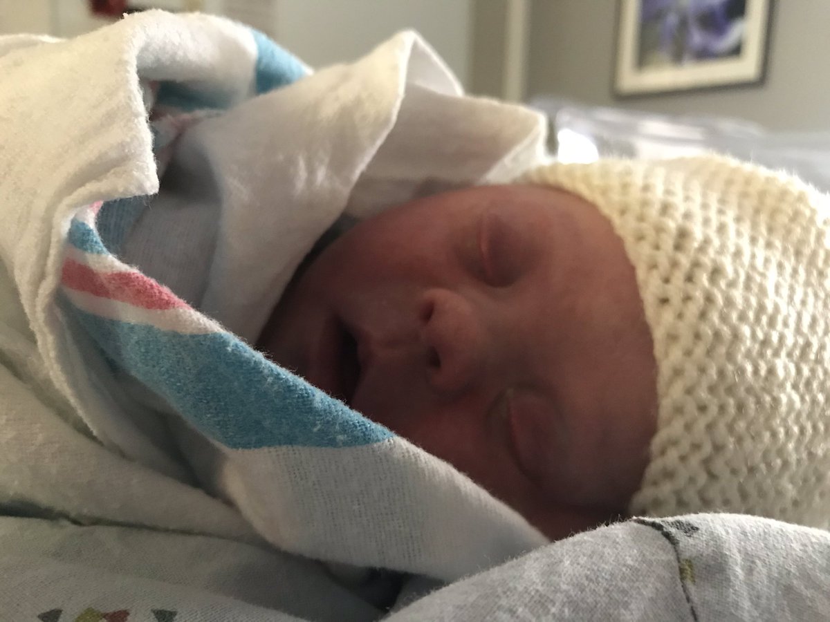 Lauren K. Ohnesorge tweet media