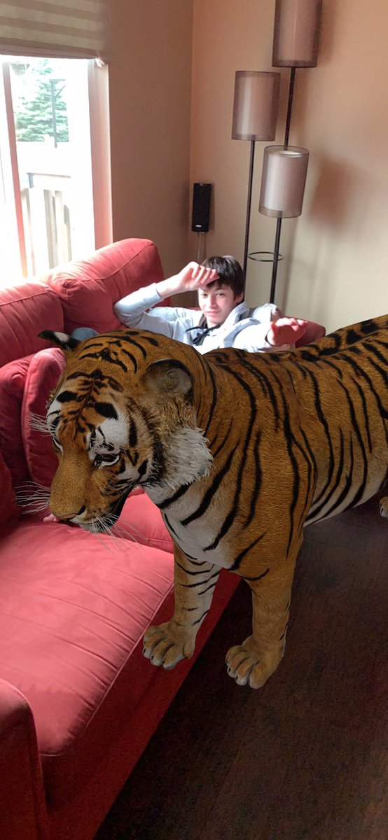 MrsSouth5's tweet photo. Look who visited our house today! Remote Learning when your Mom’s an @brookstigers Teacher on Spring Break: How to Train a Tiger! @Google #ViewIn3D https://t.co/Cb5aS5rGqr