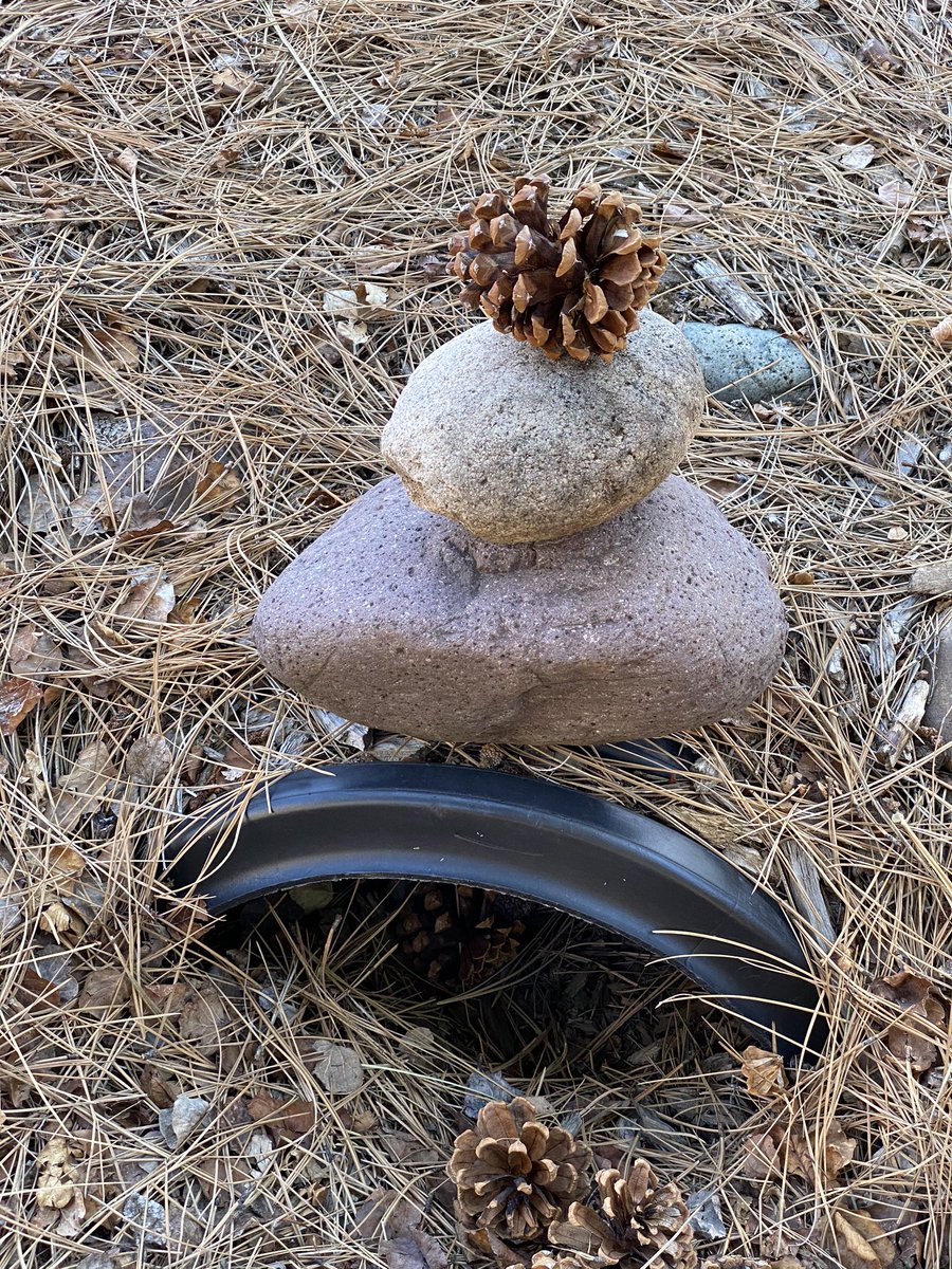 ...leading to a fifth! A pile of rocks and a pinecone, which I set up this morning atop a tiny irrigation tunnel.