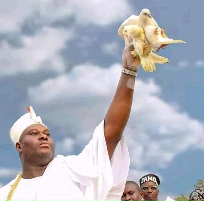 View image on Twitter