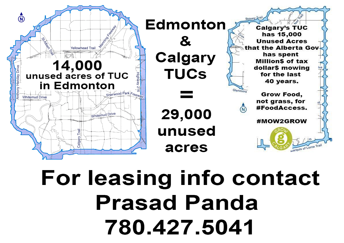 Infrastructure Alberta can no longer justify arbitrarily withholding enormous land inventories (29,000 acres) from citizens wanting to build a resilient, fair &amp; local food system. 

#C19 #jobs #ableg #cdnpoli #yyc #yeg #yyccc #yegcc #farm #food #foodsecurity #urbanag