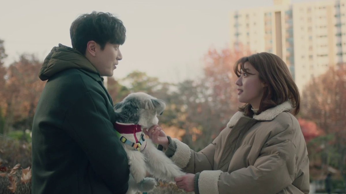 365 год победы над судьбой дорама. Бросая вызов судьбе дорама. Бросая вызов судьбе дорама. Дорамы триллеры. 365: бросая вызов судьбе (2020) /.