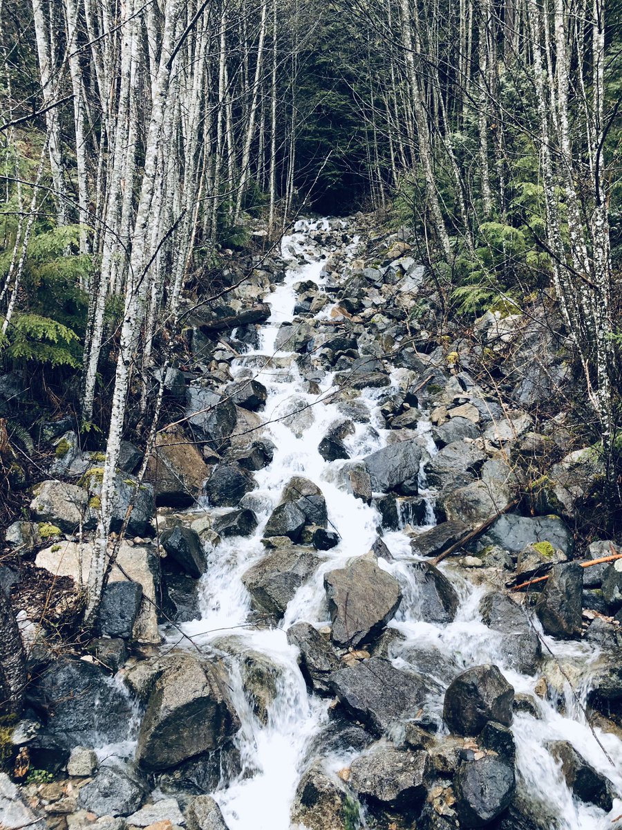 lordkatherine's tweet photo. Stressbusting 5... #trailrunning 🙏🌲 https://t.co/1mkOSMnJtA
