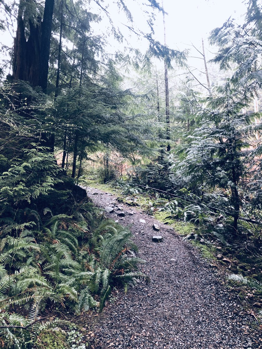 lordkatherine's tweet photo. Stressbusting 5... #trailrunning 🙏🌲 https://t.co/1mkOSMnJtA