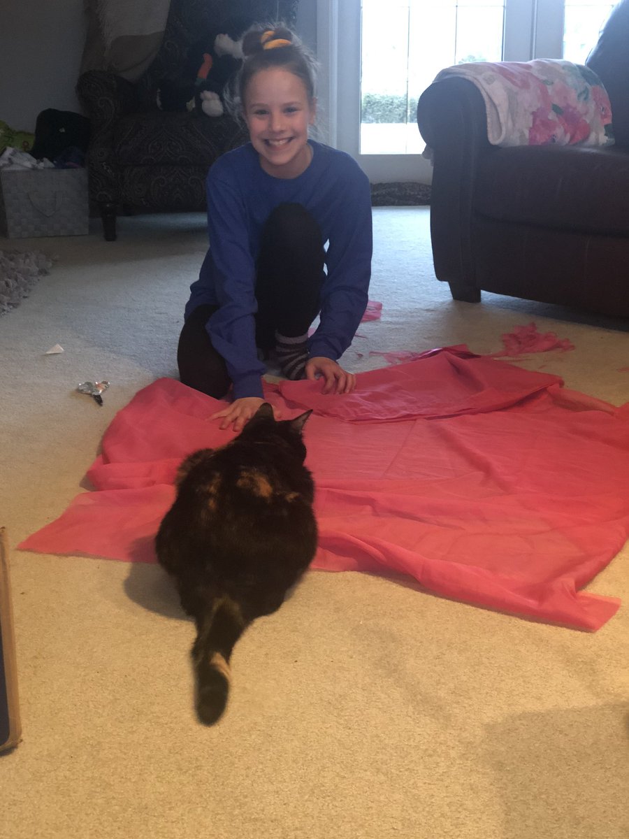 deanna Welsh tweet media