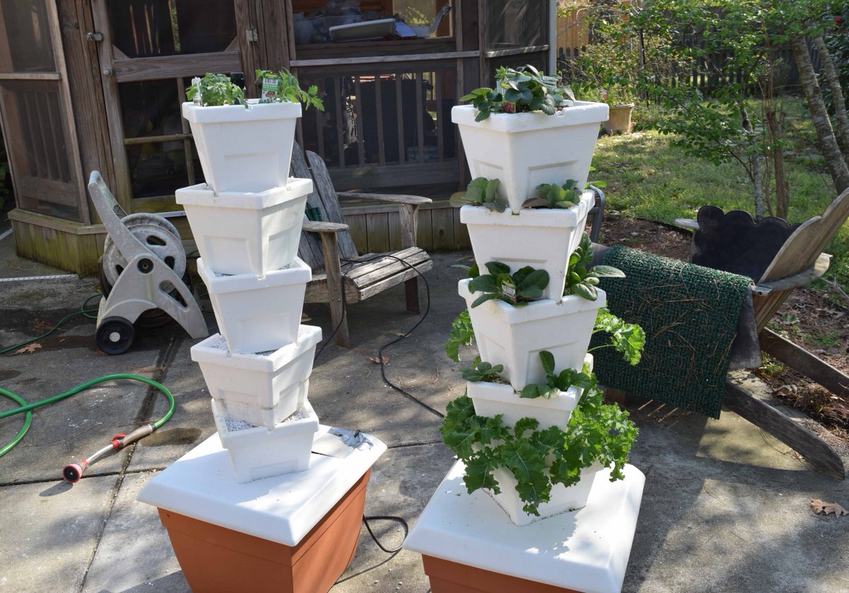 Ahh over the weekend got the second. outdoor Verti-Gro  Hydroponic Towers up.   Cherry Tomatoes, Sweet Peas, Spinach, Cabbage, Kale and Everbearing Strawberries - Oh My!
ow.ly/RWM050z0pnO
#hydroponics #hydroponic #outdoorgardening