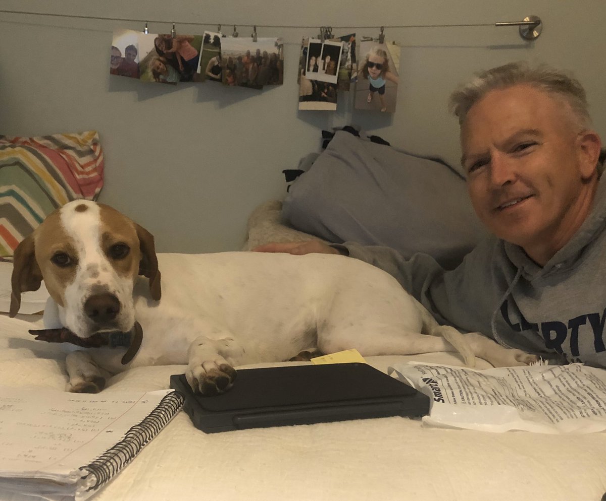 chwilsonkcsos's tweet photo. Oliver the pooch is helping with 3-5 math curriculum!!! #KCSOSComesTogether #KCSOSProud https://t.co/a0lDiIG9dl
