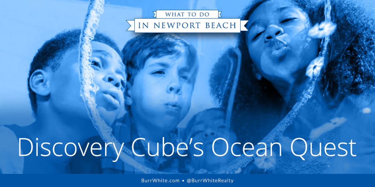 BurrWhiteRealty's tweet photo. The kids won't want to leave Discovery Cube’s Ocean Quest.

#burrwhite #familyvacations #vacationrentals https://t.co/dpQy5BYrdR