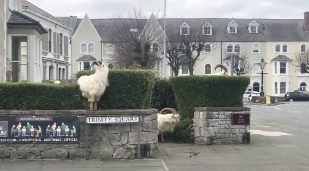 Barbara Rich tweet media