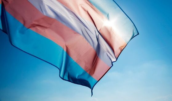 We have a strong #diversity and #inclusion agenda at #TorrensUniversity and we join in celebrating #InternationalTransgenderDayofVisibility today. We are an organisation committed to making our campuses and offices safe for our transgender community. buff.ly/2UGWexK
