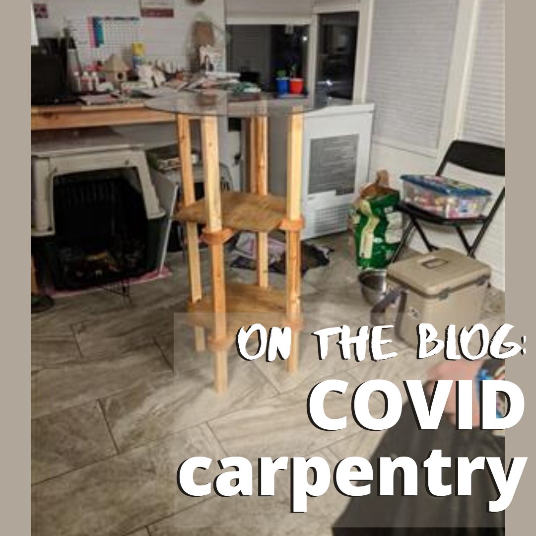 spokaneschools's tweet photo. 🛠 COVID carpentry is just one of the ways students are using their creativity during the school closures. Aurora H., a frosh from #FerrisHS, and her dad designed and built this table. 

Their story is now up on our blog: https://t.co/96i6QX9GoM #covid19 https://t.co/o7FqjECpV6