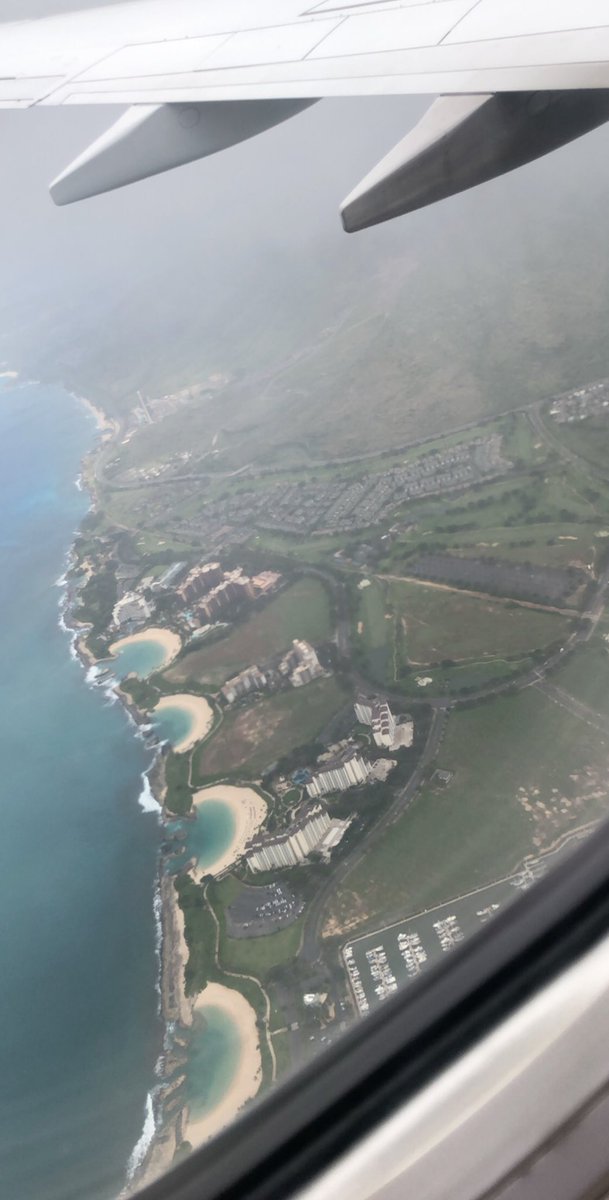 AudreyHeilman's tweet photo. When life gets you down... just move to Hawaii🌸 https://t.co/llgBY9brtw