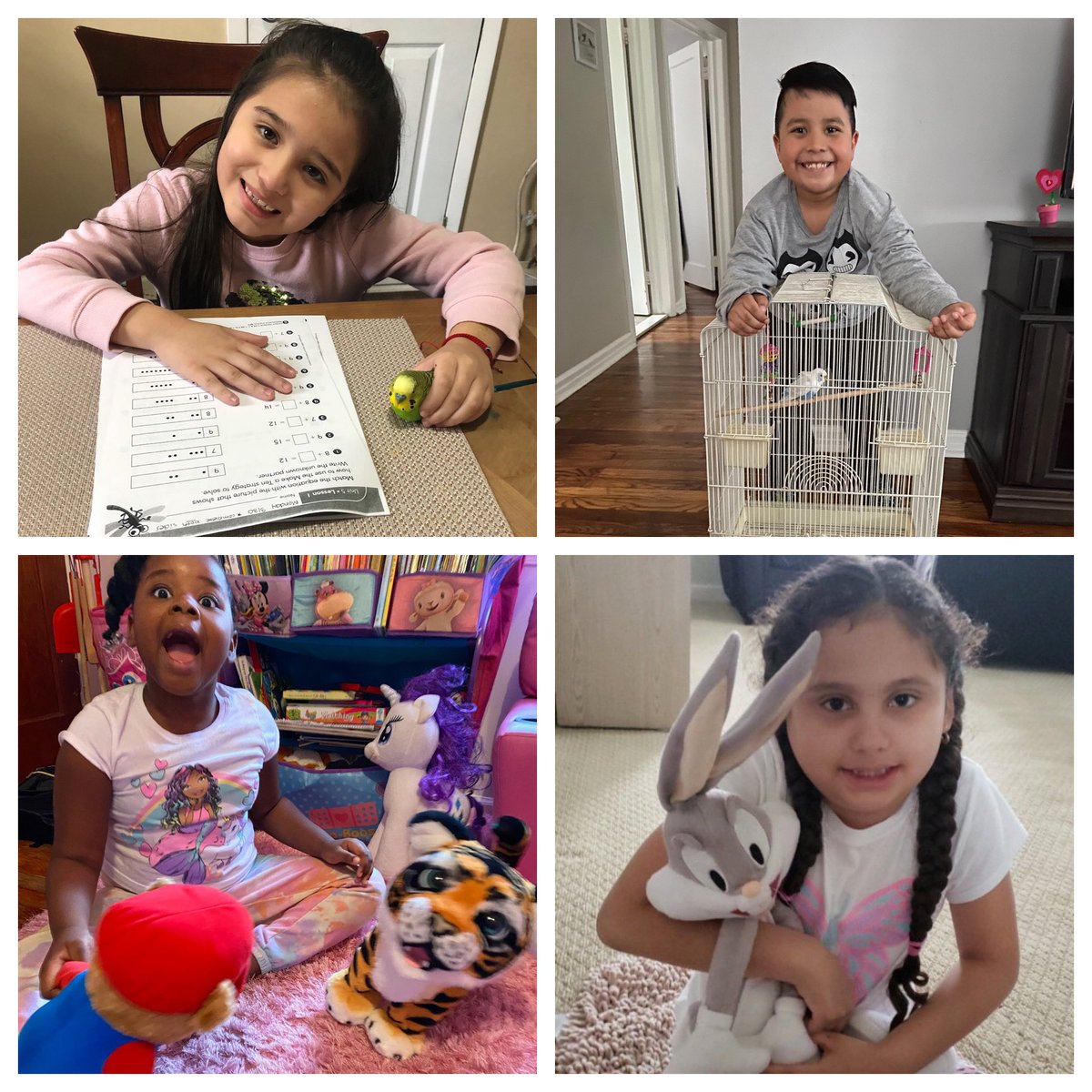 Carli Cosma (@ccosma25) on Twitter photo Look at all those amazing pets!! #pawsome #wilsonpets <a href="/HTSD_Wilson/">Wilson Elementary School</a> <a href="/WeAreHTSD/">WeAreHTSD</a> <a href="/MayreniFermin/">MayFerminCannon</a> Look at all those amazing pets!! #pawsome #wilsonpets <a href="/HTSD_Wilson/">Wilson Elementary School</a> <a href="/WeAreHTSD/">WeAreHTSD</a> <a href="/MayreniFermin/">MayFerminCannon</a>