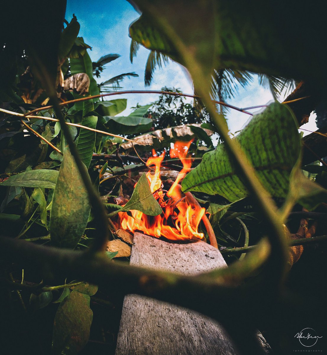 Abeyen1's tweet photo. 🔥🍂
#ShotByIphone6
#FindYourAngle😎🤙🏻 https://t.co/SjkPcskQCS
