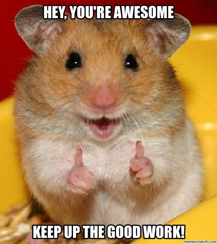 Hang on in there and <a href="/BoltonPsych/">Bolton Psychology</a> #psychology #students please do contact your tutors if you have worries about your studies. We’re here to help