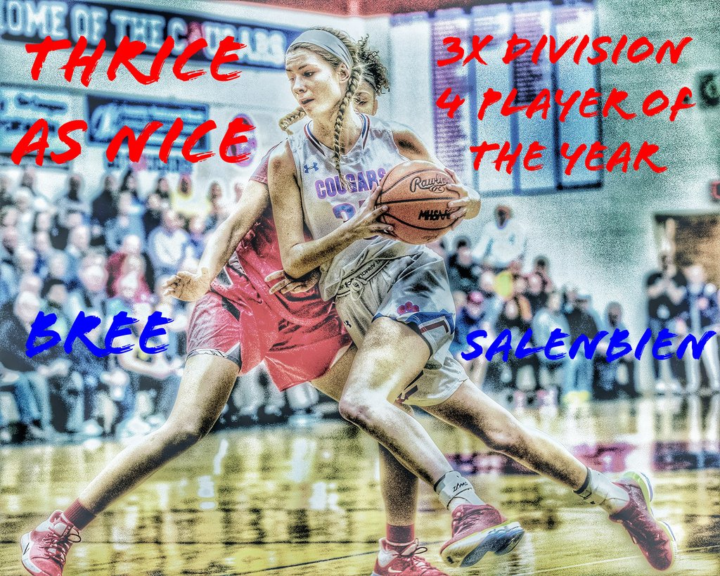 lenaweesports's tweet photo. LCS' Bree Salenbien has been named the AP Division 4 Player of the Year https://t.co/x8WDfmezMq