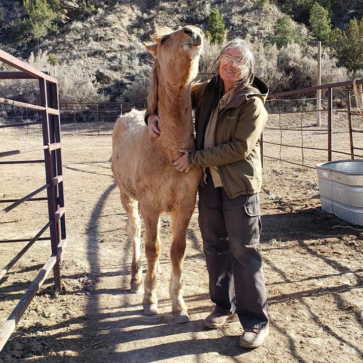 MustangCamp1's tweet photo. Bingo, the bad boy. https://t.co/90JNJAqJyF https://t.co/JfOWzshRNx