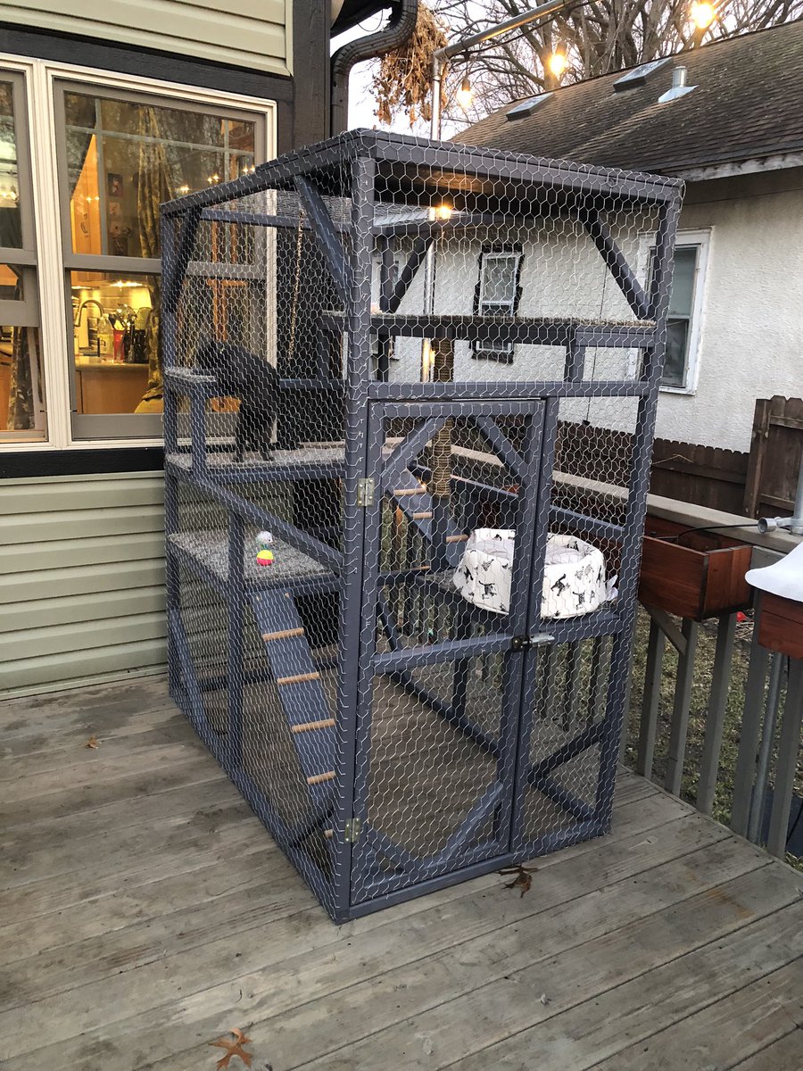 MorganOfferdahl's tweet photo. Hello spent quarantine making a outdoor cat condo for my kitten https://t.co/vW2yzAwOee