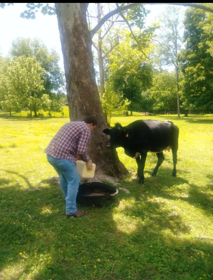 Portland FFA tweet media